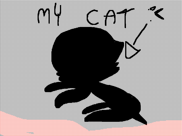 My cat