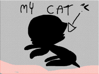 My cat
