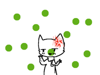 My cat