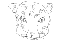 Panther