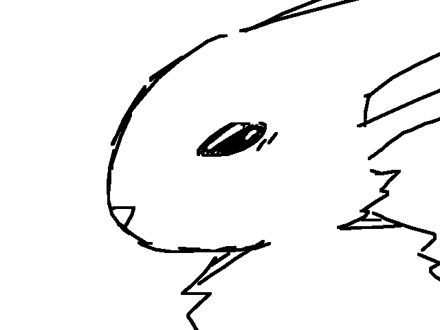 Rabbi- bunny