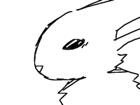 Rabbi- bunny
