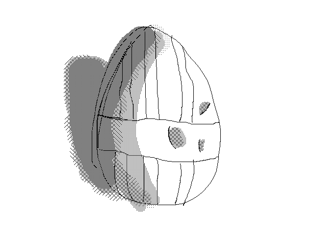 Real life Egg Test