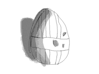 Real life Egg Test