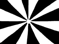 THE NEW SPINNER shake to side to side