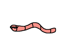 DO THE WORM DANCE