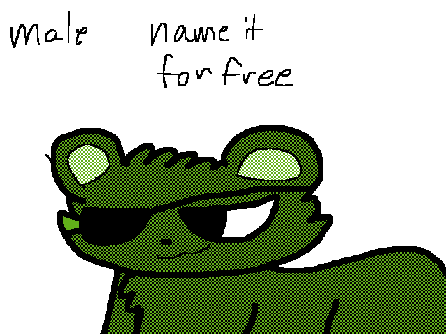 @Shio new pet