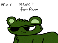 @Shio new pet