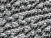 THE SANS ARMY