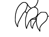 Big sharp claws
