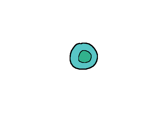 =Mitosis=