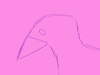 A crow in a dream