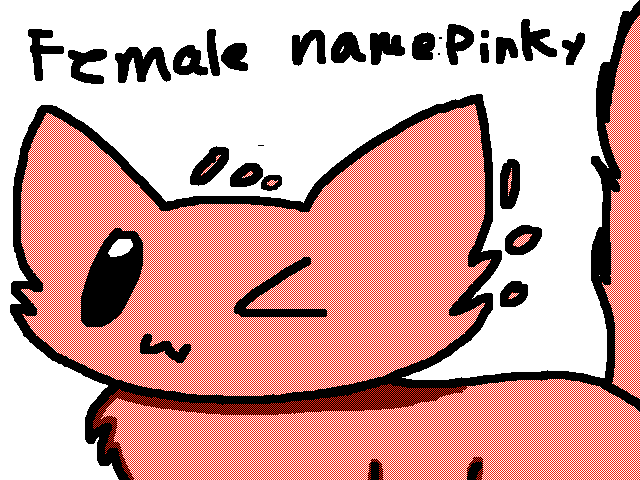 @Mioau74 new pet