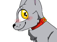 DOGDOGDOGDOG