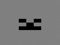 Skeleton face