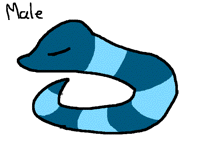 @Fart  new pet