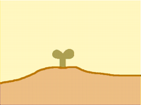 The old plant