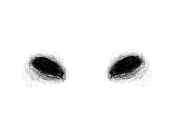 Black eyes
