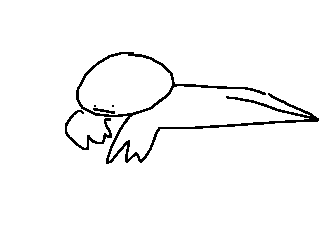 Y is folio dead...???