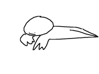 Y is folio dead...???