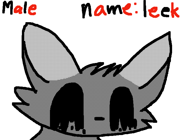 Leek free pet