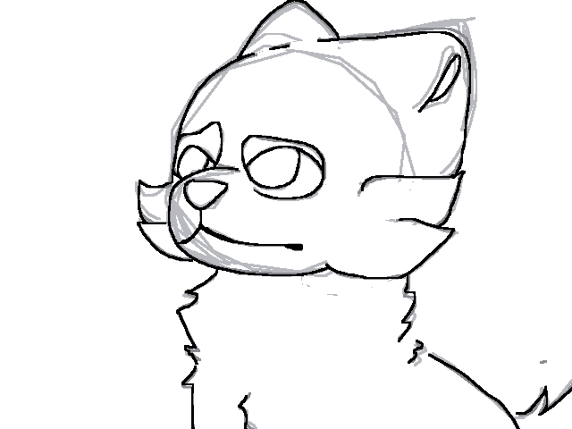 Bb fox