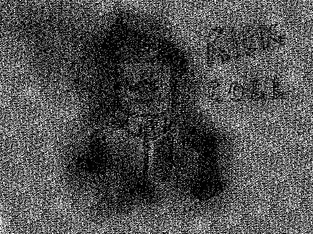 What do you see