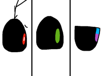 Eye
