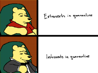 Extroverts and Introverts