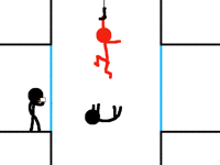 Wtf