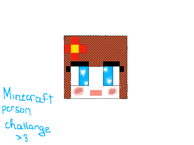 Minecraft person challenge