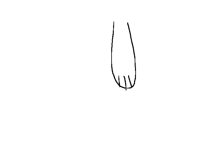 Paw moving