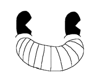 Bendy Smile Face