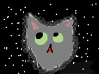 Ночной котёнок