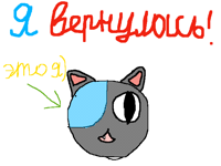 Я вернулась!