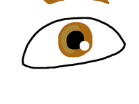 Eye