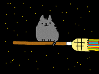 Broom pusheen