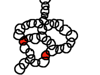 Circle