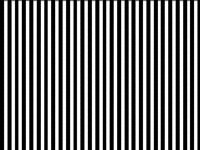 Zebra on drugs