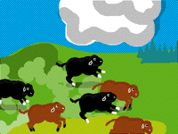 Stampede
