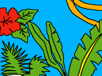 Jungle