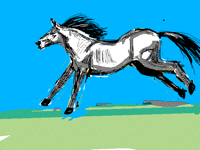 Canter