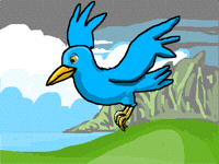 Flying Bluebird
