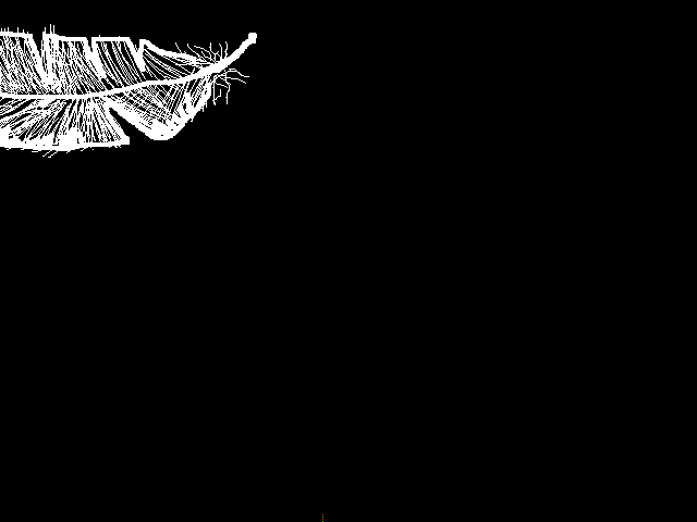 Feathers