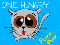 Kitty needs Food - NOW