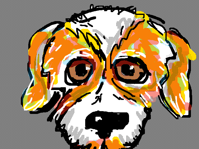 The Pooch