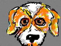 The Pooch