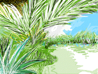 The Stream