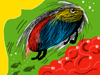 Hamster Fish