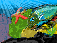 Parrot Fish